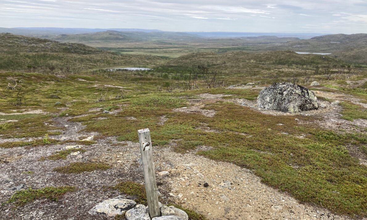 "Åpent landskap med grønn mose, steinrøyser og en trepinne midt i et vidstrakt, flatt område med fjell i bakgrunnen under en overskyet himmel."