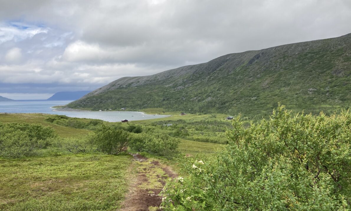 Sto grønn busk i forgrunnen til høyre. En sti går fremover i landskapet mot en vik. Landskapet er grønnkledt med noen busker. En ås til høyre og havet lengst bort med noen fjell helt bakerst.