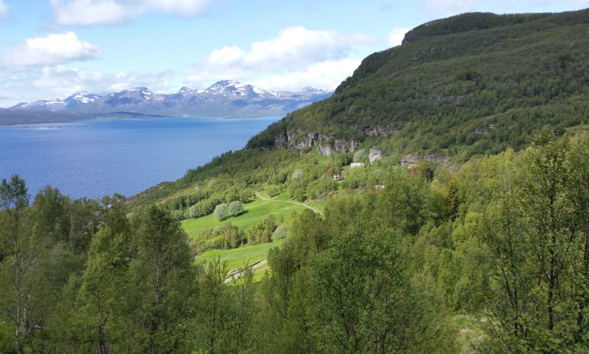 Utsikt over et grønt dalføre omgitt av tett skog, med bratte fjellsider på høyre side og en fjord som strekker seg utover til venstre. I bakgrunnen ligger snødekte fjell under en skyet, men lys himmel.