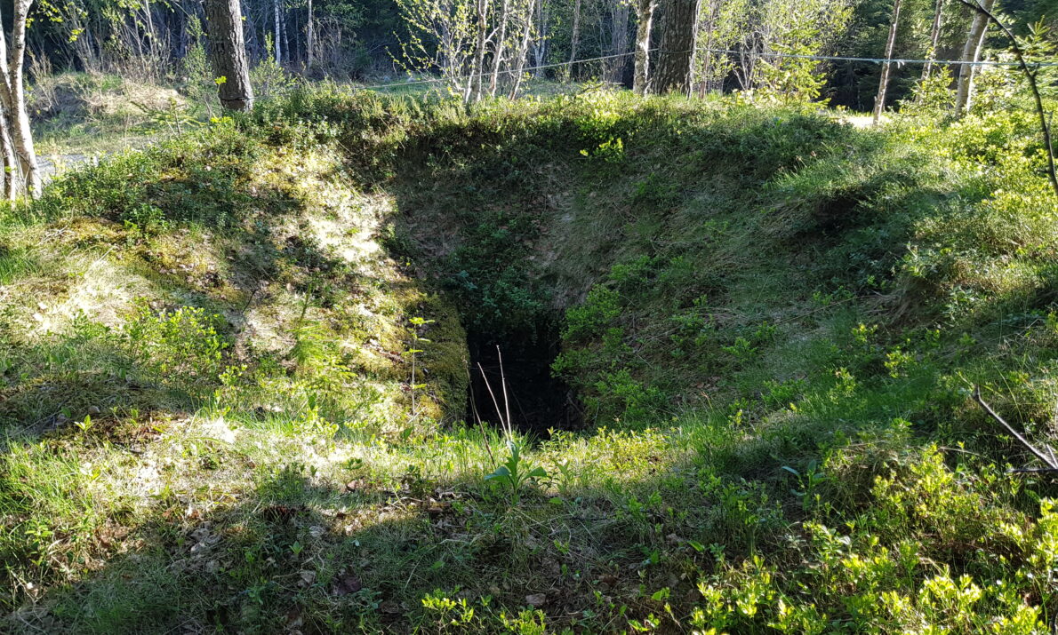 En større grop på bakken omgitt av grønne vekster og noen trær.