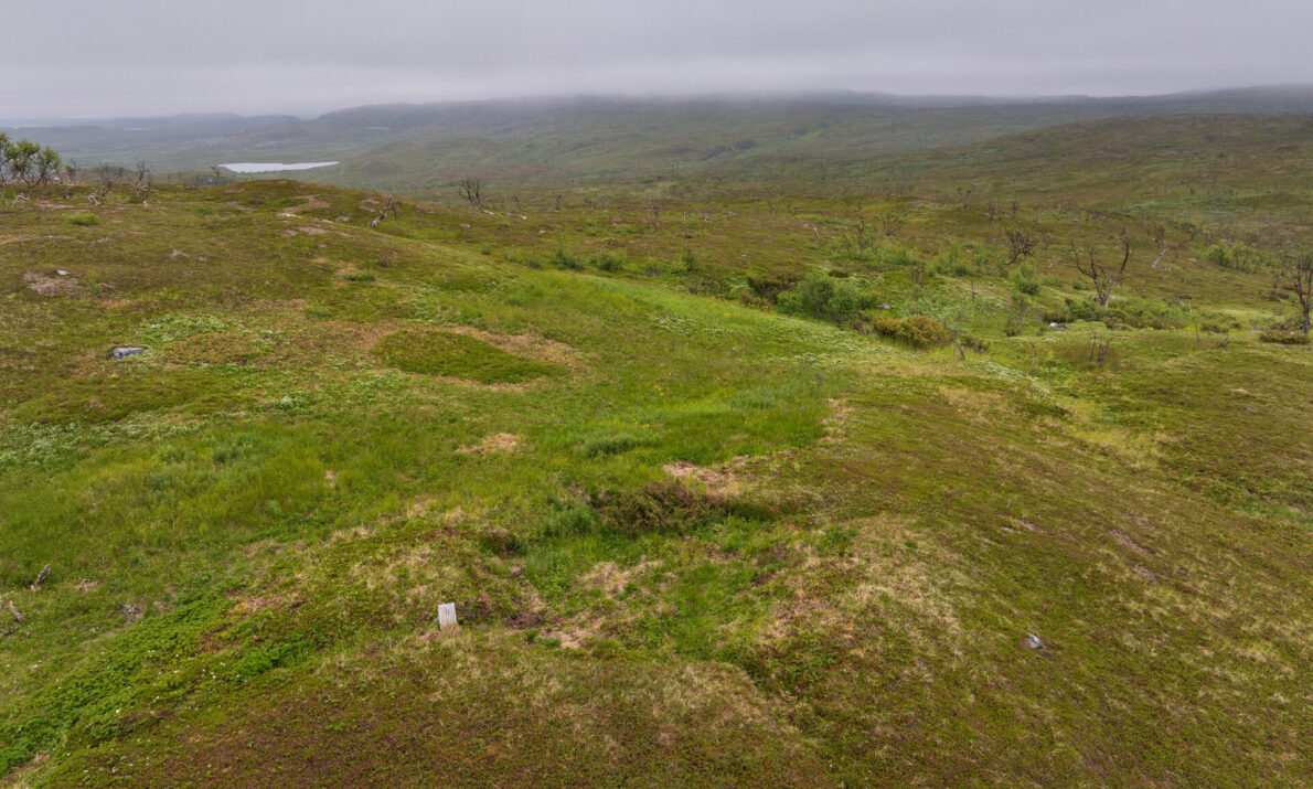 Et grønnkledt landskap med en forhøyning i forgrunnen og spor etter bosetninger. Viddelandskap i bakgrunnen og en himmel med tett skydekke.
