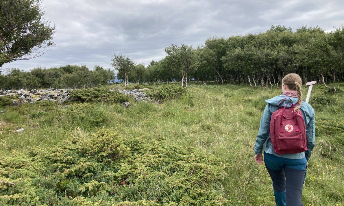 En kvinne i turkis turklær og burgunderrød sekk til høyre i bildet. Høyt gress på bakken og i enden en steinmur. Skog foran. Himmel med tett skydekke.