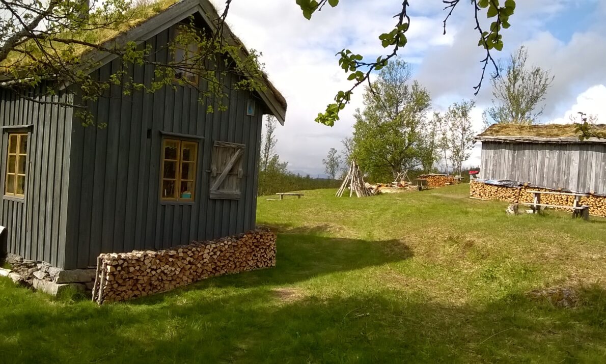 «Et tunområde med to tradisjonelle trebygninger omgitt av grønt gress og spredte trær. Den nærmeste bygningen er malt grå med torvtak og vedstabler langs veggen. I bakgrunnen står en lignende bygning med torvtak og vedstabler, og over tunet henger greiner med vår- eller sommerløv. Landskapet rundt er åpent med lys himmel og skyer.»