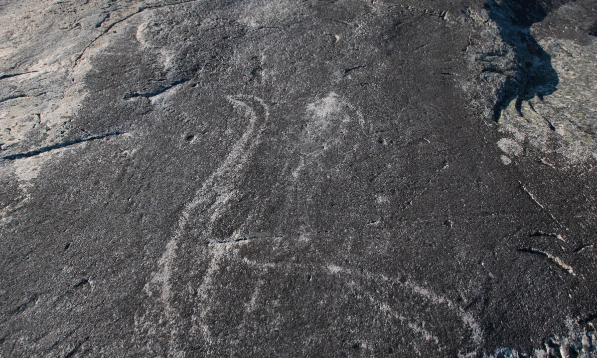 Berg med bergkunst som viser to svaner. Over skog og blå himmel.