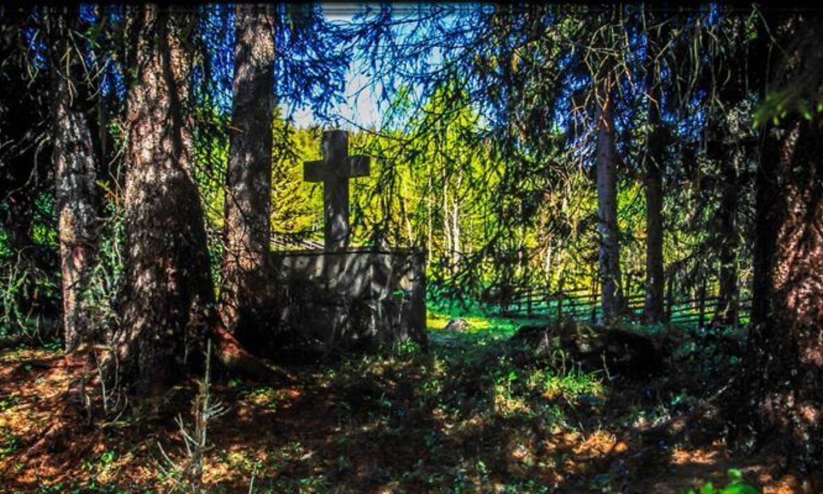 Et skogsområde med høye trær som danner skygge rundt et gammelt steinmonument med et kors. Sollys slipper inn mellom trærne og lyser opp gresset i bakgrunnen.
