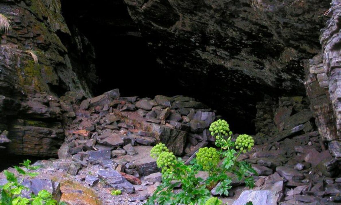 En hule i fjellet. Masse løs stein på bakken. Noen grønne planter i forgrunnen.