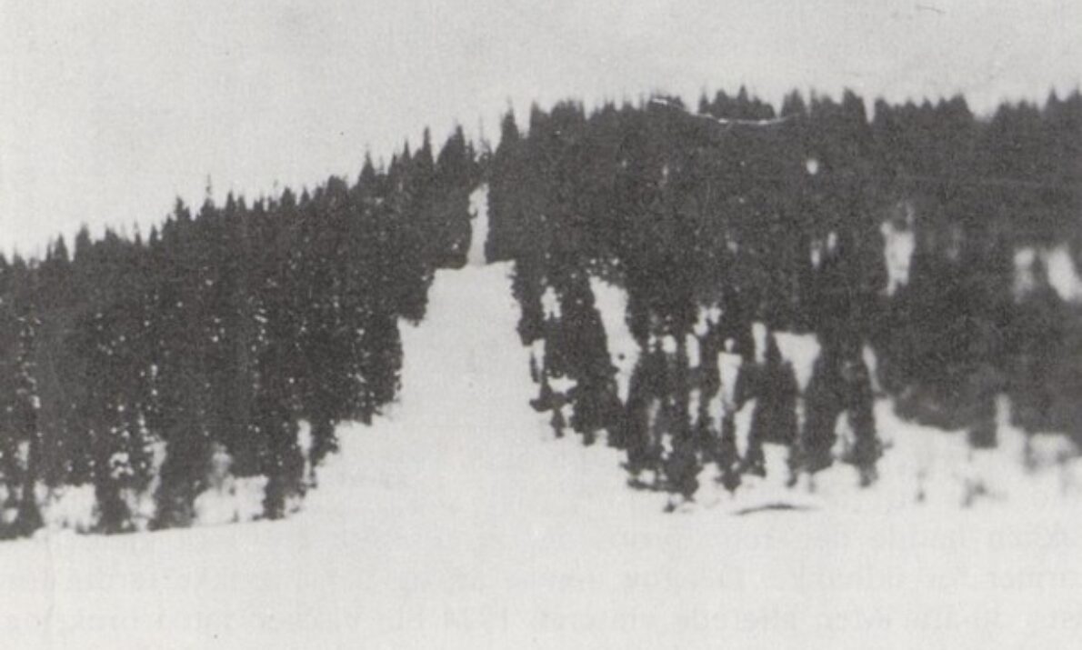 Svart hvitt bilde. En skibakke omgitt av tett skog. Hvit himmel over.