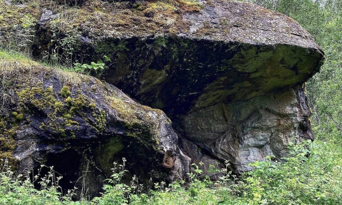 «Et naturmiljø med en stor bergformasjon som stikker ut som et overheng. Fjellsiden er dekket av mose og vegetasjon, og i forgrunnen vokser tett grønn buskas. Trær med lyse stammer står bak og rundt bergformasjonen.»