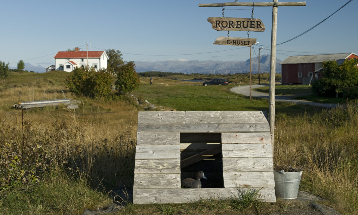 Lite hus til ærfugl i forgrunnen. Står på en eng med gress og strå. Et gammelt skilt rett bak huset og en bøtte ved isden av. I bakgrunnen  et hvitt hus med rødt tak, fjell og himmel.