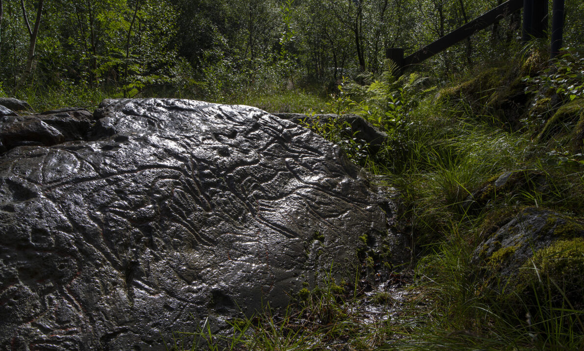 Mørkt berg ligger omgitt av grønne vekster og noen trær.