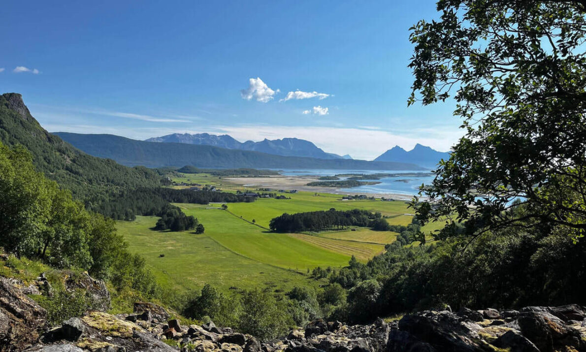 Landskapsbilde tatt fra et høyt utsiktspunkt, med steiner og mose i forgrunnen. Nederst i dalen ligger åpne grønne jorder omgitt av skog. Lenger bak skimtes vann, små øyer og en fjellkjede under en klar blå himmel. Et tre rammer inn motivet på høyre side.