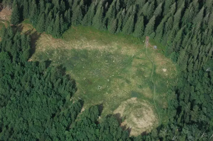 «Luftfoto av en lys, gresskledd åpning i et skogområde. Det åpne feltet er omgitt av tett, mørkgrønn barskog, og i nedre del av bildet ligger en rund, gresskledd forhøyning. En smal sti eller tråkk kan sees på høyre side av åpningen.»