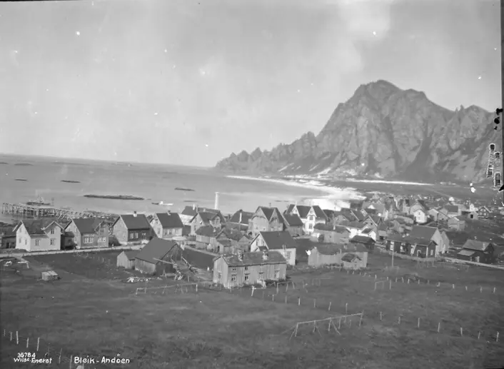 Svart/hvitt bilde. Slette forrest og så en klynge med hus. Høyt og bratt fjell til høyre og havet lengst til venstre.