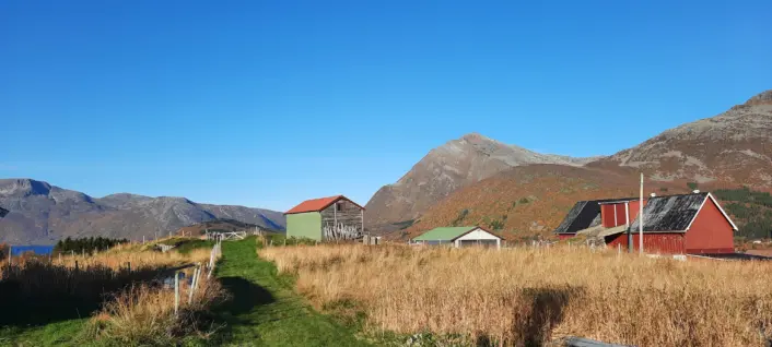 Landskap med blå himmel, slette med grønt og gult gress og noen bygninger i grønt, hvitt og rødt.