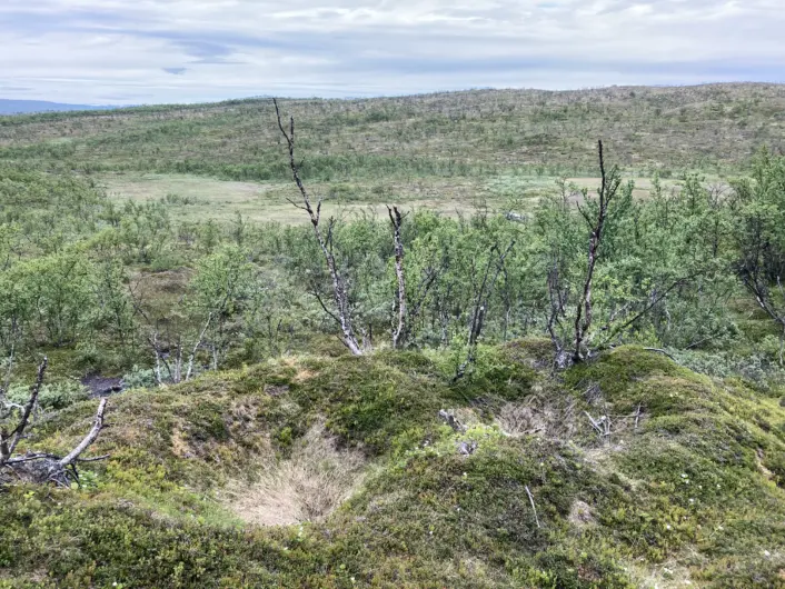 Åpent landskap med en grop nærmest. Noen busker og så noen åser i bakgrunnen. Himmel med skydekke øverst.