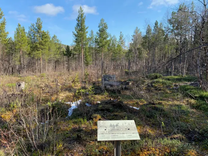 En informasjonstavle står i forgrunnen av et åpent myr- og skoglandskap med spredte furutrær. Vegetasjonen består av lav, mose og lyng, og små vannsig skimtes mellom tuene under en klar himmel.