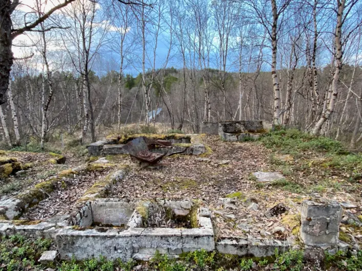 Rester av en gammel grunnmur ligger overgrodd av mose og vegetasjon i et skogholt med slanke bjørketrær. Gjennom trærne skimtes en dal med blå himmel og lette skyer i bakgrunnen.