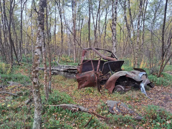 Et rustne vrakdeler ligger delvis overgrodd på skogbunnen mellom tynne bjørketrær og lav vegetasjon.