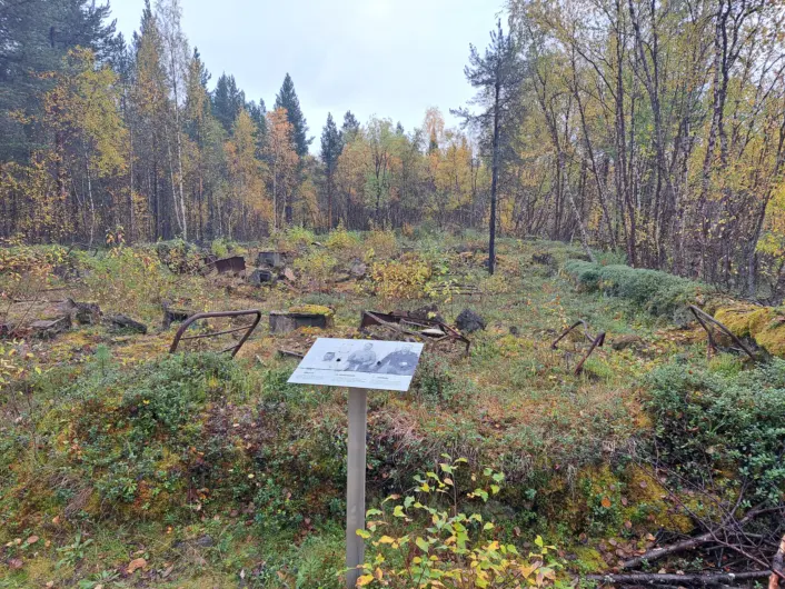 En informasjonstavle står i forgrunnen foran et gjengrodd område med mosekledde steiner og rester av en gammel grunnmur, omgitt av høstfargede trær i en tett skog.