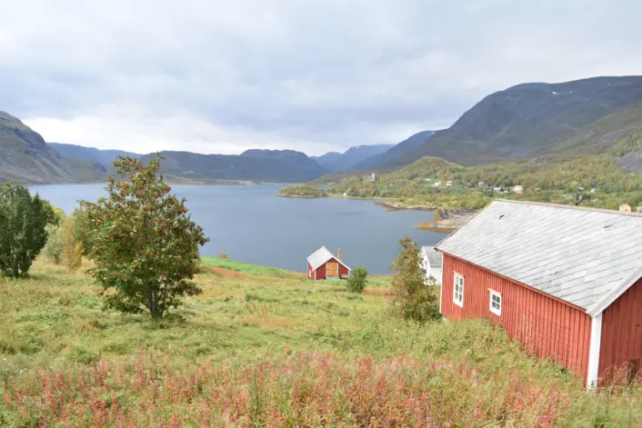 Utsikt over et fjordlandskap med grønne marker i forgrunnen. To røde trebygninger står på en skråning som leder ned mot fjorden. I bakgrunnen ses skogkledde åser og høye fjell under en overskyet himmel.