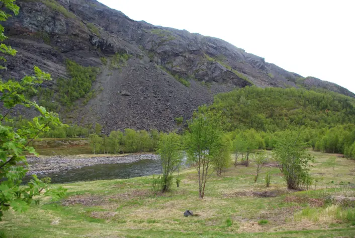 Landskap med en liten elv som renner gjennom en dal. I forgrunnen står spredte små trær og gressmark, og bak dem stiger en bratt fjellside dekket av mørk stein og ur. Vegetasjonen er grønn og sommerlig under en lys himmel.