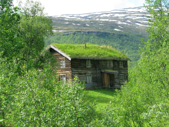 Et gammelt tømmerhus med torvtak står omgitt av tett grønn vegetasjon. Huset ligger i en fjellskråning med snødekte fjell i bakgrunnen, badet i sommerlys.