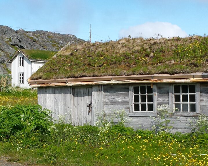 Et lite, grått trehus med et torvtak står omgitt av grønn vegetasjon og gule markblomster. Bak huset skimtes et hvitt trehus, og i bakgrunnen ligger steinete åser under en lys himmel.