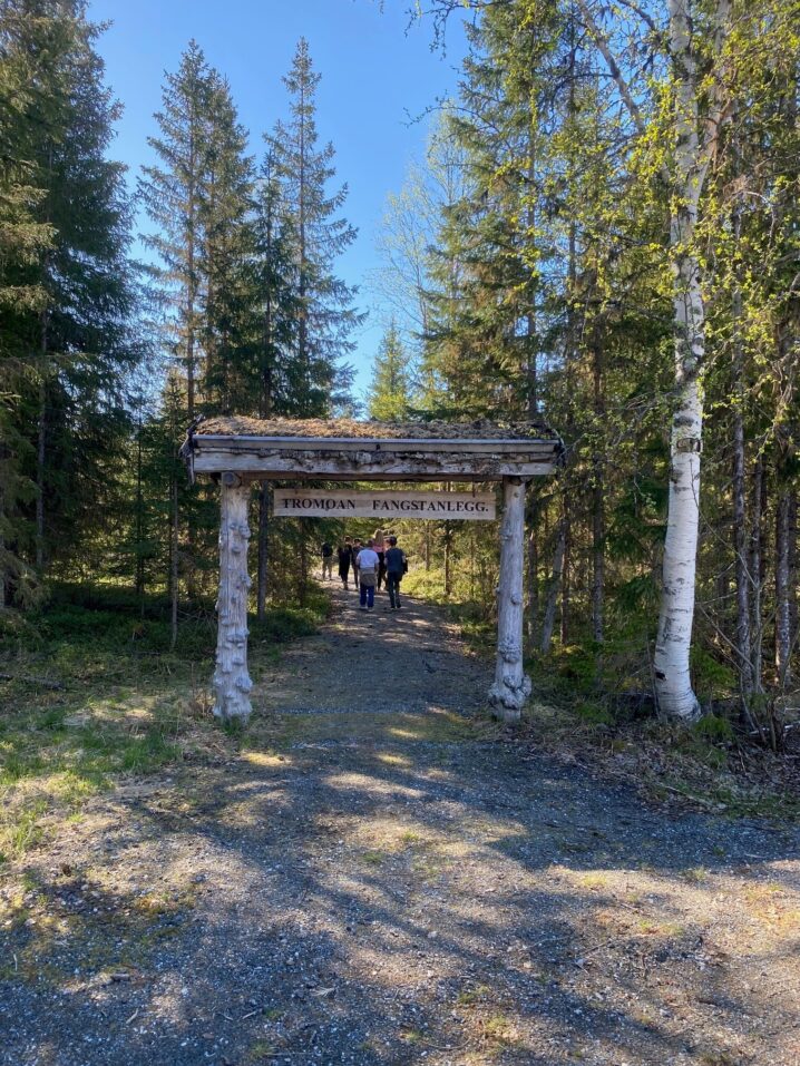 "En treportal i skogen med to personer som går gjennom den."