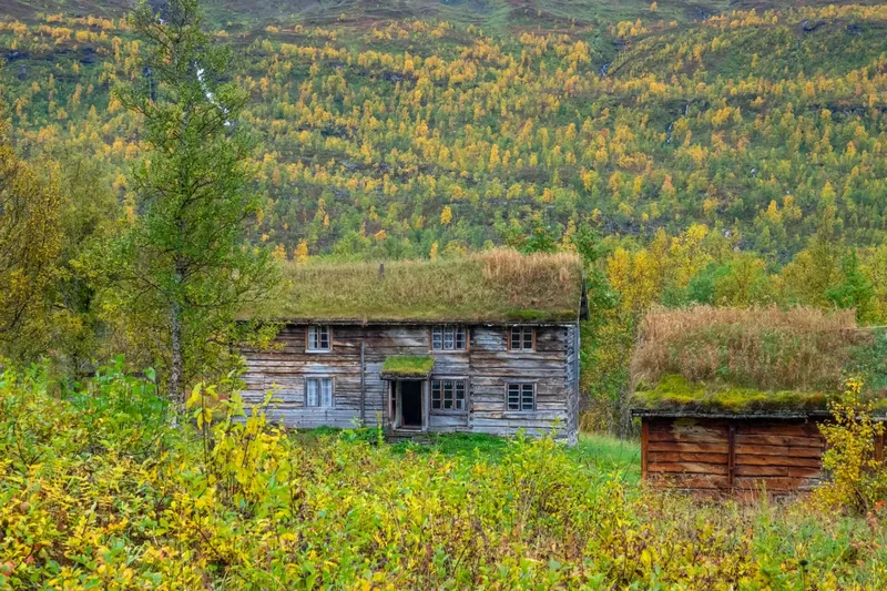 Gammelt tømmerhus med torvtak omgitt av høstfargede trær og vegetasjon, med et mindre uthus ved siden av og en åsside i bakgrunnen.