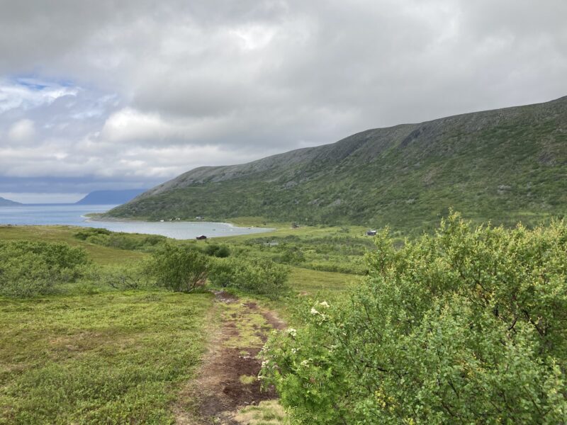 Sto grønn busk i forgrunnen til høyre. En sti går fremover i landskapet mot en vik. Landskapet er grønnkledt med noen busker. En ås til høyre og havet lengst bort med noen fjell helt bakerst.