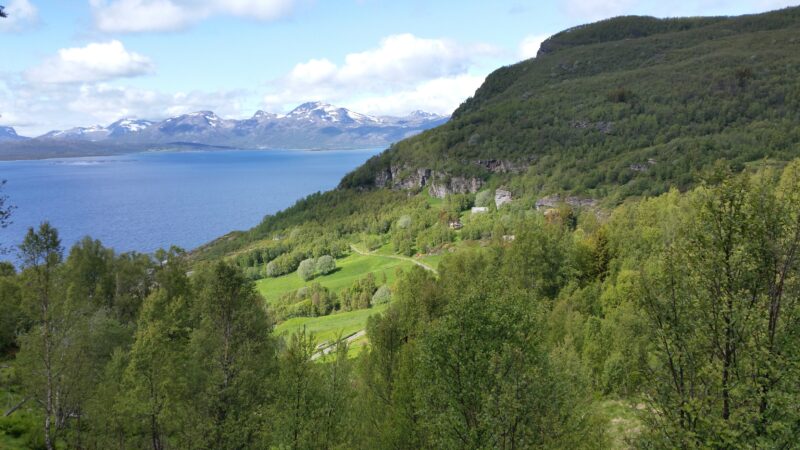 Utsikt over et grønt dalføre omgitt av tett skog, med bratte fjellsider på høyre side og en fjord som strekker seg utover til venstre. I bakgrunnen ligger snødekte fjell under en skyet, men lys himmel.