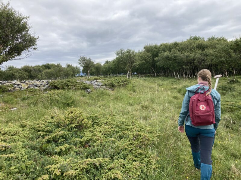 En kvinne i turkis turklær og burgunderrød sekk til høyre i bildet. Høyt gress på bakken og i enden en steinmur. Skog foran. Himmel med tett skydekke.