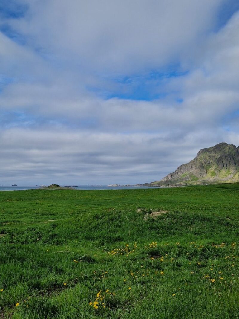 Gresslette i forgrunnen. Et lite fjell i bakgrunnen til høyre. Blå himmel med skyer over.