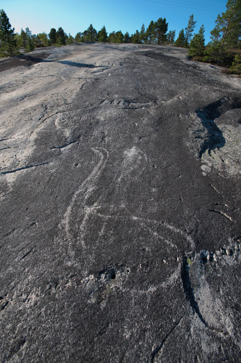 Berg med bergkunst som viser to svaner. Over skog og blå himmel.