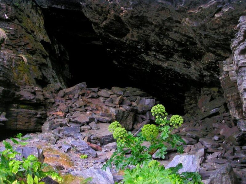 En hule i fjellet. Masse løs stein på bakken. Noen grønne planter i forgrunnen.