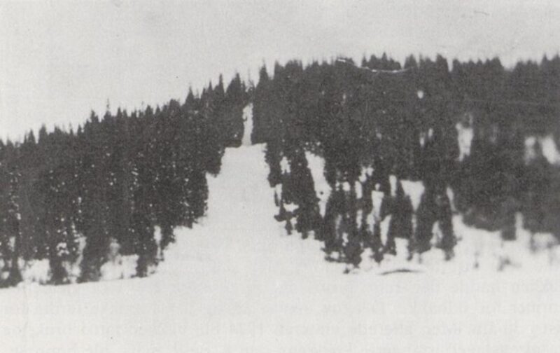 Svart hvitt bilde. En skibakke omgitt av tett skog. Hvit himmel over.