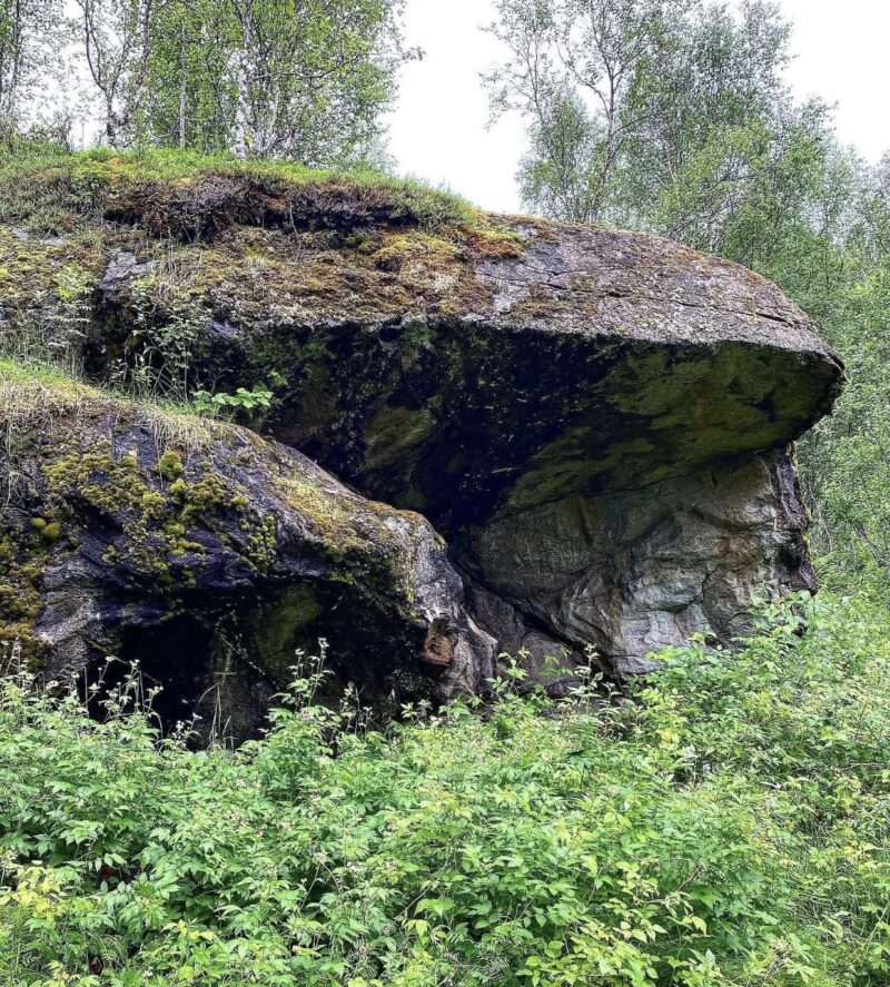 «Et naturmiljø med en stor bergformasjon som stikker ut som et overheng. Fjellsiden er dekket av mose og vegetasjon, og i forgrunnen vokser tett grønn buskas. Trær med lyse stammer står bak og rundt bergformasjonen.»