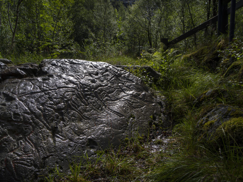 Mørkt berg ligger omgitt av grønne vekster og noen trær.