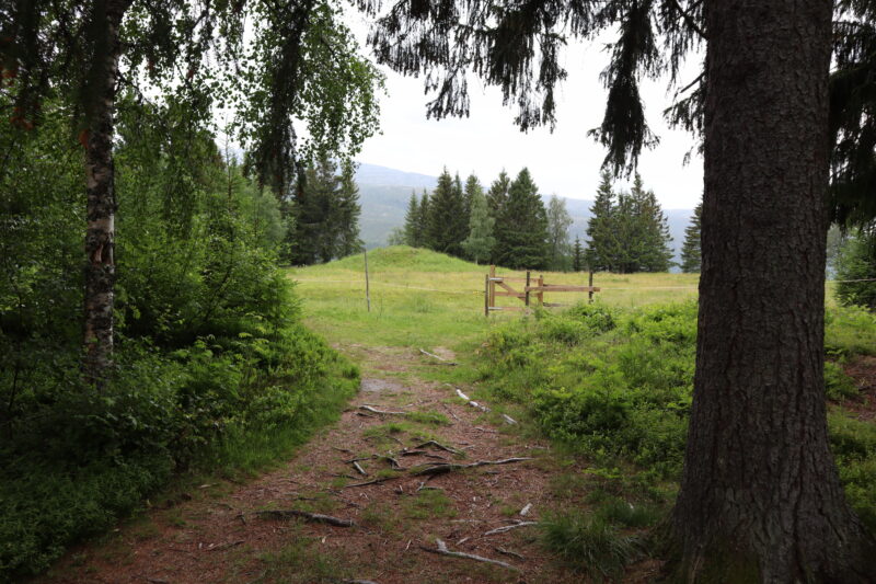 En bred sti i en skog går mot et åpent gresskledt landskap. Noen stolper og en haug kan ses på en gresslette. Skog bak. Et fjell skimtes i bakgrunnen og hvit himmel.