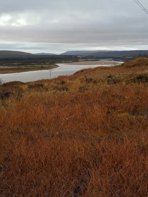 «Landskapsfoto av et åpent høstlig terreng med gyllenbrune lyngområder i forgrunnen. I midten av bildet slynger en stille elv eller innsjøarm seg gjennom landskapet. Fjell og lave åser ligger i bakgrunnen under en grå og overskyet himmel.»