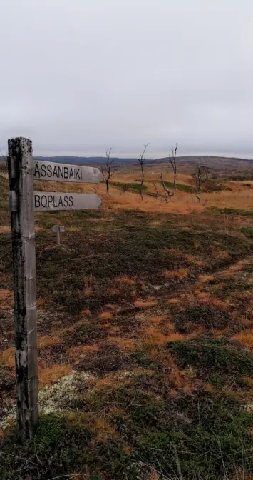 «Værslitt treskilt i forgrunnen med tekst som peker mot ulike turstier. Skiltet står i et åpent høstlandskap med gule og brune lyngområder og spredte, bladløse trær. I bakgrunnen strekker et lavt, kupert terreng seg under en grå og overskyet himmel.»