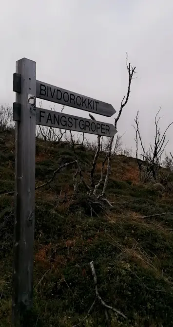 «Treskilt med to retningspiler står i et åpent, høstlig terreng. Skiltet peker mot to ulike stier og står omgitt av lave busker og noen tynne, bladløse trær. Bak skiltet brer et kupert landskap seg under en grå, overskyet himmel.»