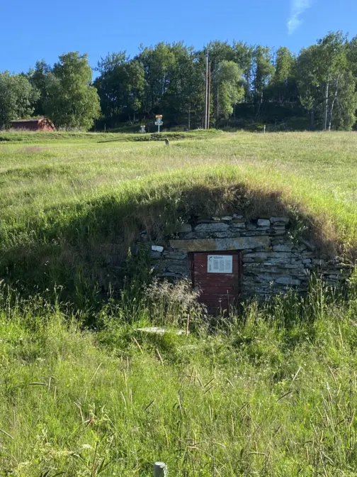 Jordkjeller nederst i en bakke med gress. Øverst i bakken er en skog.