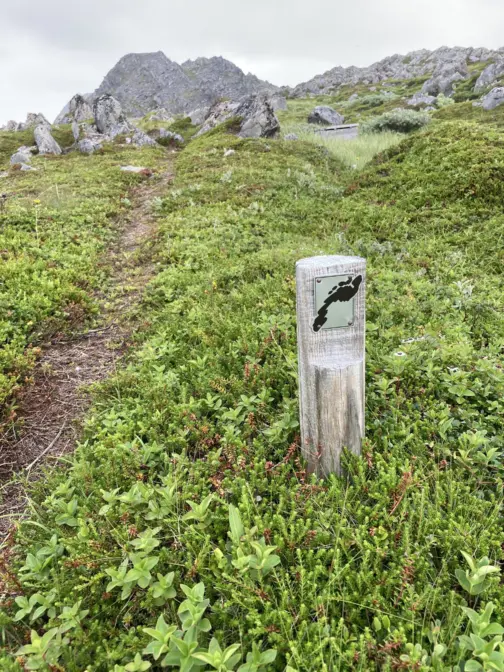 Til venstre en sti som går mot en fjelltopp. Gress på bakken. Et lite skilt med logoen tl Fotefar mot nord i front. Himmel med tett skydekke.