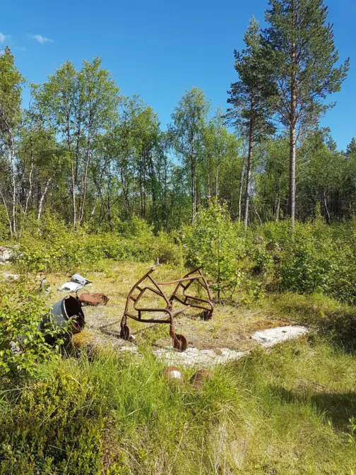 Et rustent metallunderstell fra et gammelt kjøretøy står delvis gjemt i gress og lav vegetasjon på en åpen skogslette, omgitt av busker og høye furutrær under klar blå himmel.